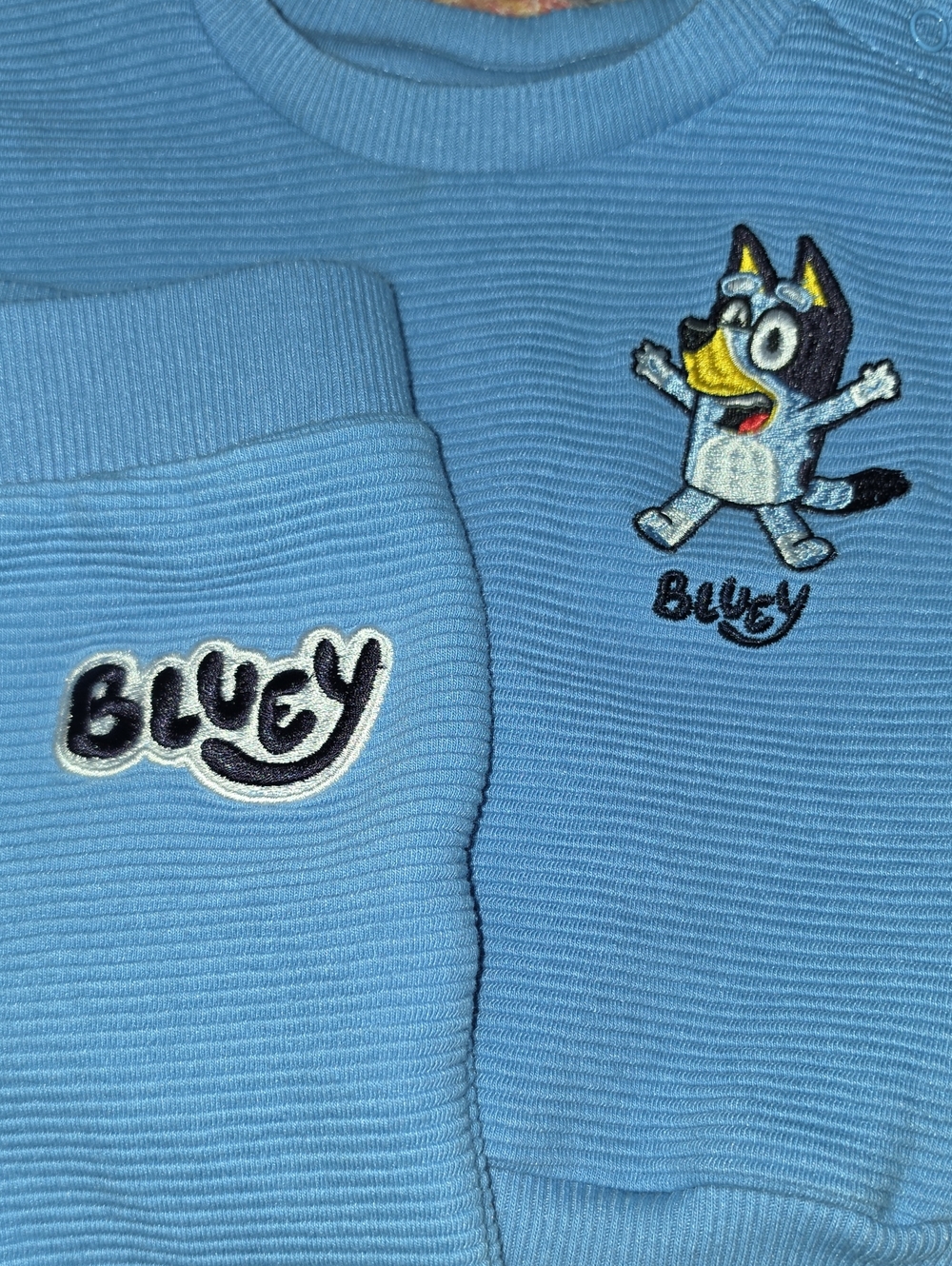 Bluey Sweatshirt & Pants Set with Embroidered Design Size 0-3 Months